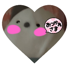 Apple_20251103181854576 9665