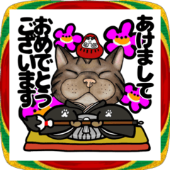 動くキジトラ猫2026お正月