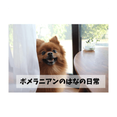 Asahi_20251103213649