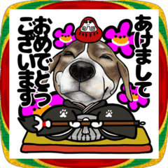 動くビーグル犬2026お正月