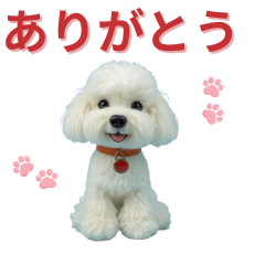 Cute Animal LINE Stickers4