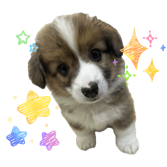 sayasaya_20251103175458