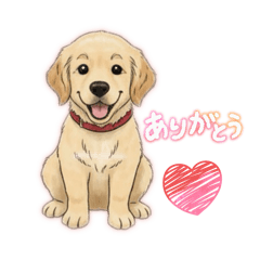 Golden Retriever Puppy Stamp Himari