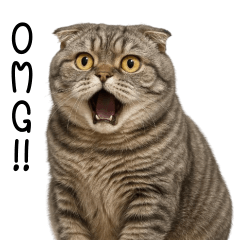 Chubby Grey Cat Tuatung (EN)