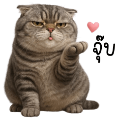 แมวเทาอ้วน ตัวตึง!