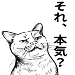 Sometimes a grumpy cat.