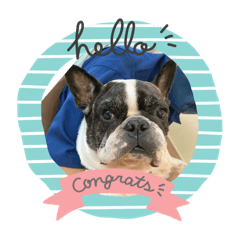 kinako_20251104123406