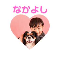 amimino forest_20251104154136