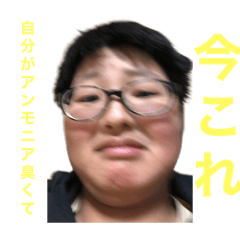 Harry_20251104161957