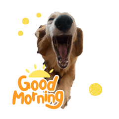 ChihiRon_20251104164039