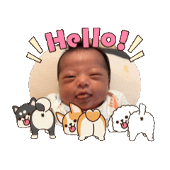 Happy Reia