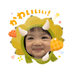 HIKARI_20251104125019