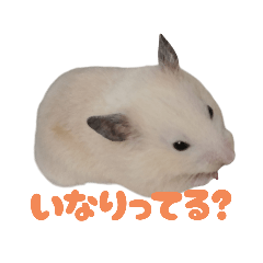 oinari_20251104131356