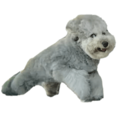 華華華華華華華華華