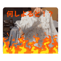 sugar_20251104220437