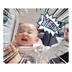 ARISA_20251105011858