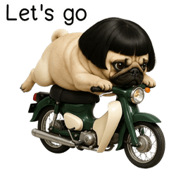 Puppy, cheeky Dog (ENG)