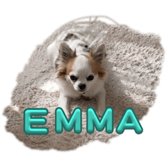 emma_20251104151732