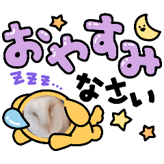 hanasaki2317_20251104185833