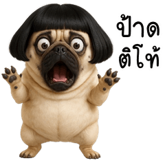 Puppy, cheeky Dog (E-San)