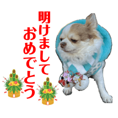 donta_20251104143933