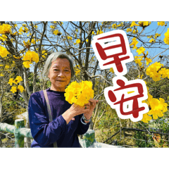 黃家阿嬤早安系列