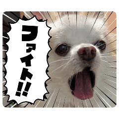 mizuki_20251104220844