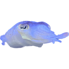 Nanana_20251104164810