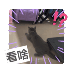 超可愛的嚕卡第一彈