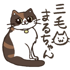MARU-CHAN CAT STICKER