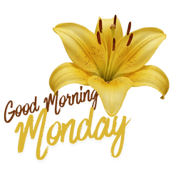 MyMandie's Good Morniing Monday V1