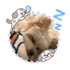 nabeshin_20251104233820