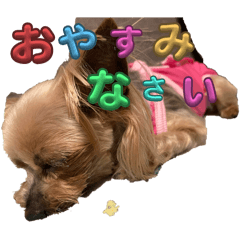 Isochan_20251104235134