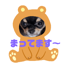 yukari_20251105102726