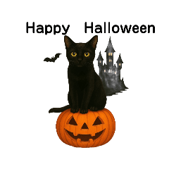 Mizuki_20251105002927