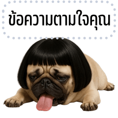 เปลี่ยนข้อความตามใจ: ปั๊กกี้ หมาจอมกวน