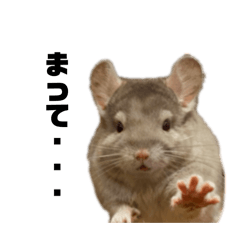 Neo no design_20251105022527