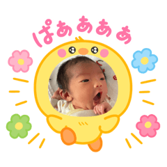 alice_20251104213738