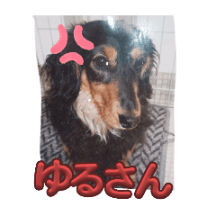 HIYORI_20251105084447