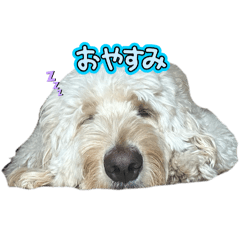 KINAKO_20251105092649