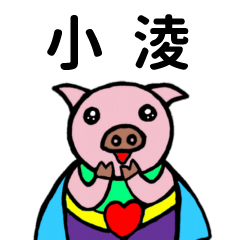 ShanShan Pig Name sticker No.4230