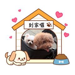 閃耀明星(蘋妮恩米）