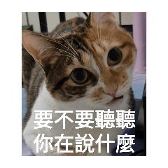 珍奶寶貝媽媽愛–無奈的一天