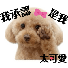 我承認是我太可愛