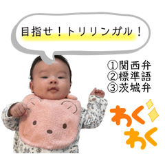 ibamaru_20251104213924