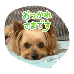 Isochan_20251105003121