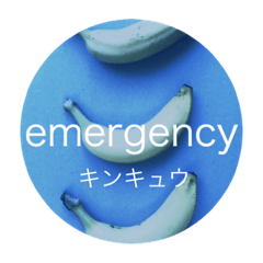English or Japanese lessons with fruits