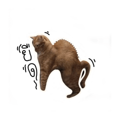 nasuko_20251105015838