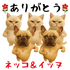 Funny sticker cats and dogs