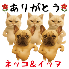 面白スタンプ(ネッコ＆イッヌ)